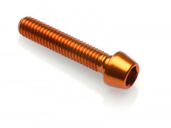Vis BTR conique marque Lightech M6 x 25 Ergal couleur or