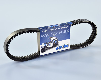 COURROIE POLINI KEVLAR HONDA