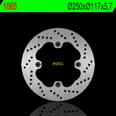 Disque de frein fixe NG BRAKES réf : 1065 | BURGMAN AN 650 (2002-2003)