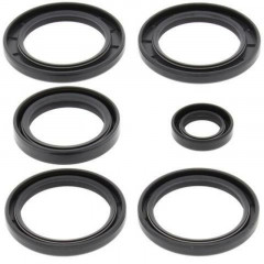 KIT JOINTS DIFFERENTIEL 2