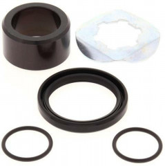 Kit reconditionnement d'arbre de sortie de boîte All Balls | RAPTOR YFM 350, WARRIOR YFM 350