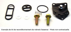 Kit réparation de robinet d'essence TOURMAX