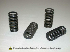 Kit ressorts d'embrayage Barnett | HONDA CRF R 250, HONDA CRF RX ENDURO 250, SUZUKI RMZ 250